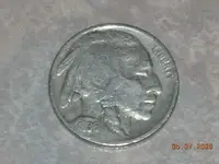 DSCN3936.webp