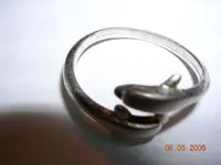 dolfr.webp