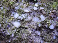 002.webp