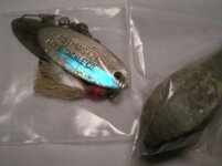 herring run finds.JPG
