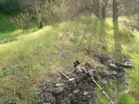 db photos 008.webp