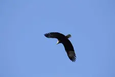 IMG_2214_LoRes.webp