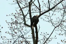 IMG_2226_LoRes.webp
