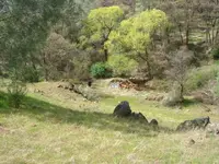 db photos 011.webp