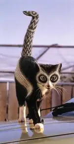 painted cat 3.webp