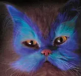 painted cat 4.webp