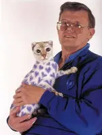 painted cat 6.webp