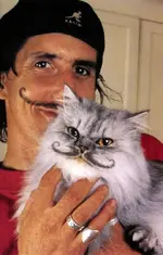 painted cat 9.webp