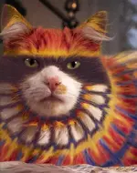 painted cat 12.webp