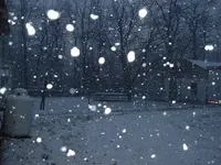Picture 009.webp