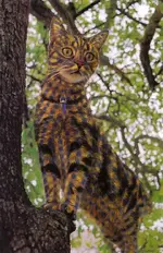 painted cat 18.webp
