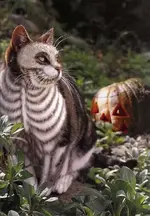 painted cat 20.webp