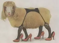 sheep.webp