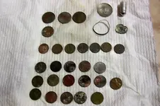 Pascagoula Miss. beach finds.webp