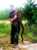 tember_rattler.webp