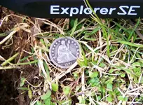 ex1 (Small).webp