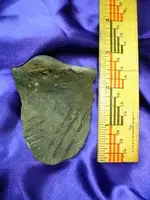 Pottery 1-10-09.webp
