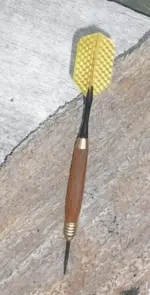 oregon shipwreck dart.webp