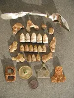 122908 finds.webp