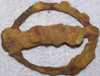 Buckle 002.webp