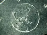 FEV Earth.webp FEV Earth.webp