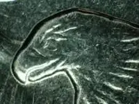 1971-D Eagle.webp 1971-D Eagle.webp
