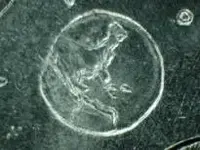 71-D Earth.webp 71-D Earth.webp