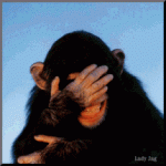 Chimp aughinggif.gif Chimp aughinggif.gif