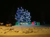 Picture 095.webp