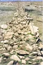 CaminoReal1TN.webp