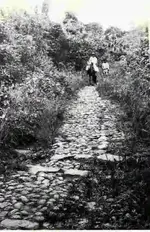 Las_Cruces_Trail_1914.webp