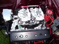 100_0115.webp