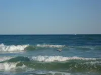 z142771738.webp