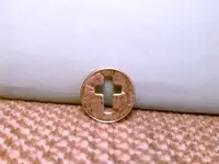penny.webp