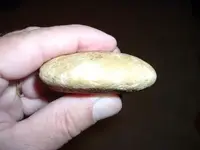 stone2.webp