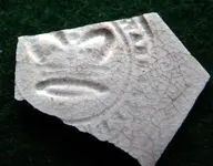 ceramicware.webp