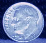 alans new pix 007.webp
