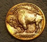 1913s type1 back.webp