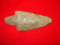DSC00900.webp