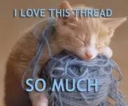 catthread.webp