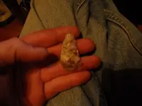 DSCN0123.webp