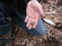 Half Cent Fresh out of ground (2).jpg