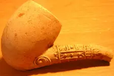 DSCN5462.webp