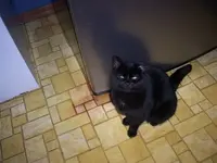 tmpphpbhgt6N.webp