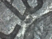 Untitled Image 3.webp