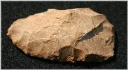 Turtleback.250.webp