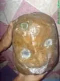 face2.webp