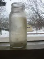bottles 003.webp