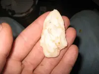 Quartz.webp