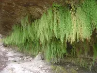 DSC04440.webp